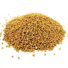 Гірчиця насіння 0,5 кг п/е