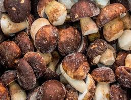 Гриби білі заморожені цілі