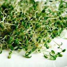 Микрогрин "Люцерна", 50 г/уп.