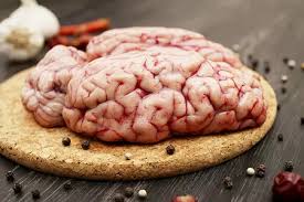 Мізки яловичі