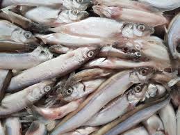 Риба "Мойва"