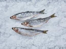 Оселедець заморожений