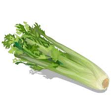 Стебло селери