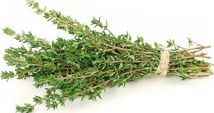 Чебрец 500гр п/э