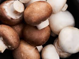 Гриби Печериці 2-кат