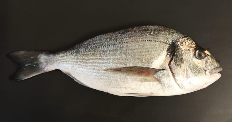 Риба Дорадо (300-400)